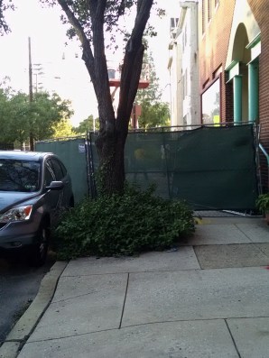 No Advance sign on N23rd.3