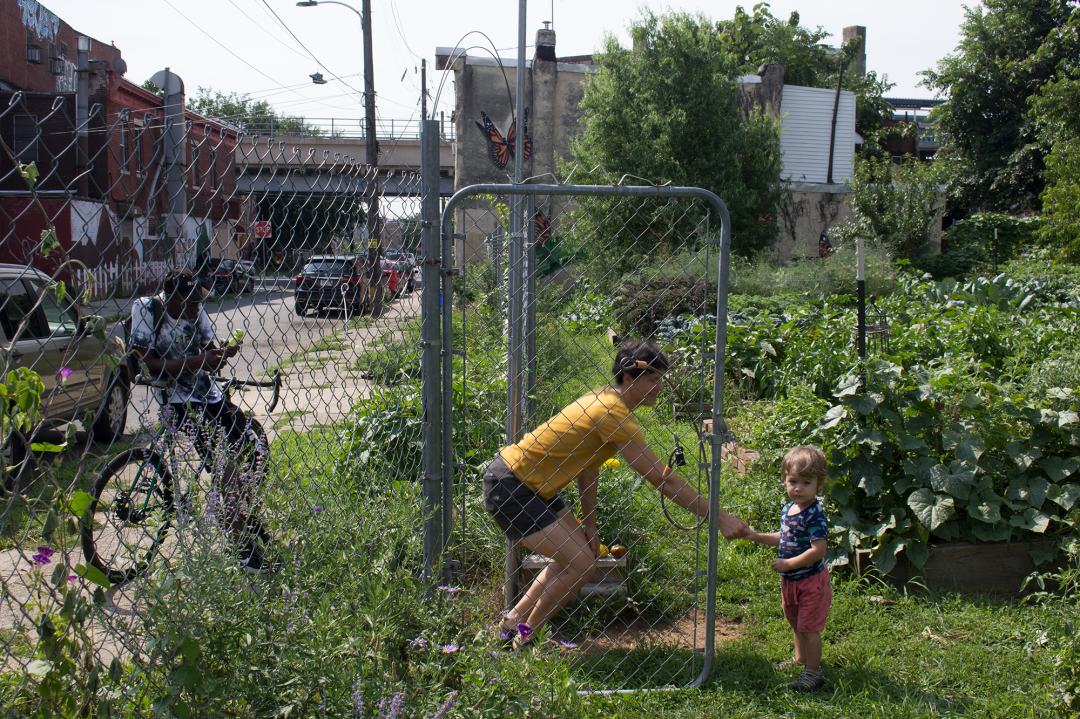 Hart Lane Neighborhood Farm in West Kensington
