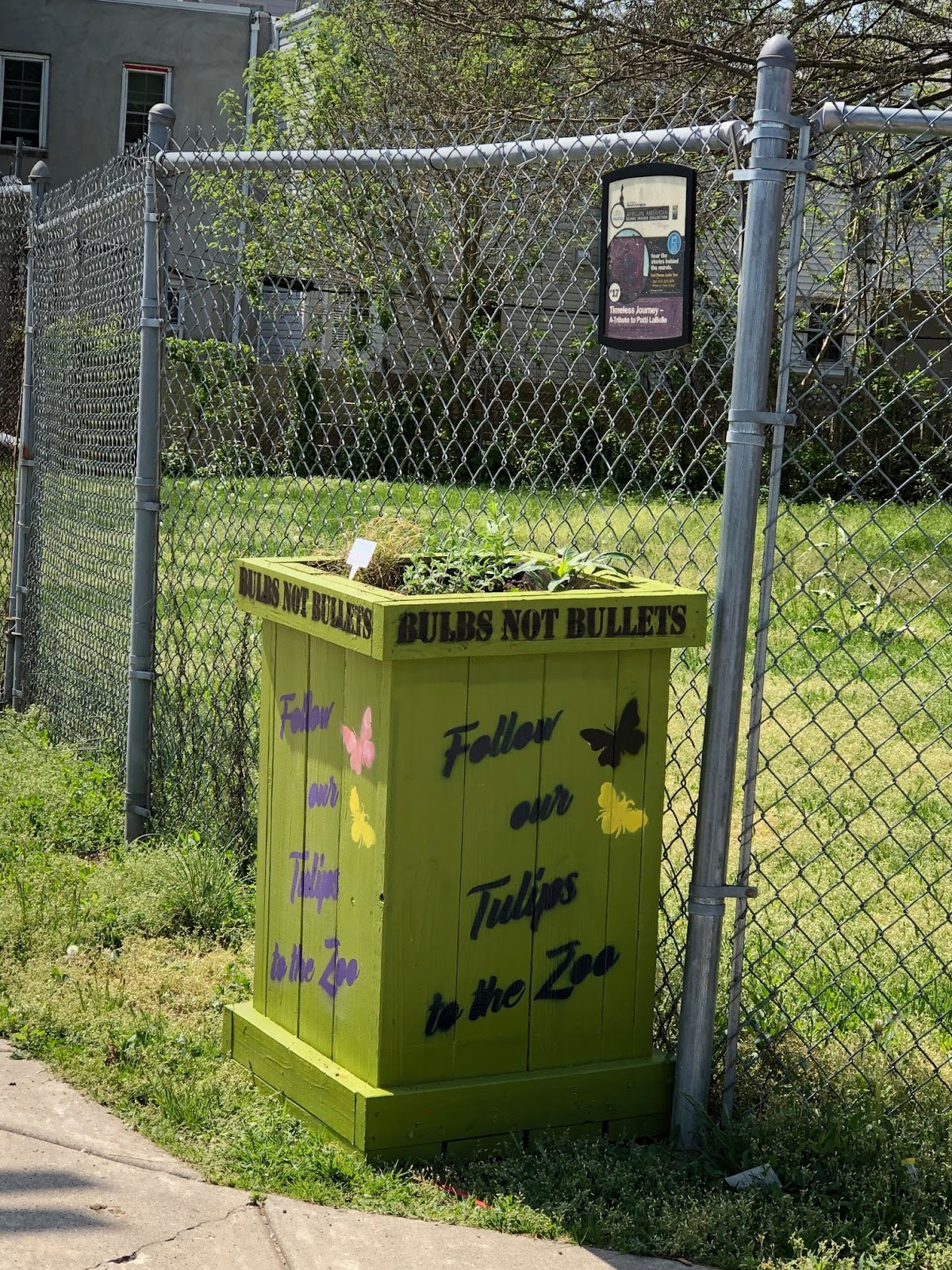 34th Street Planter - Bulbs Not Bullets